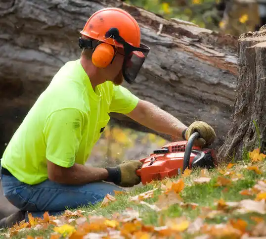 tree services Carterville